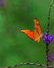 Thumbnail image for Simple Warmth and Clarity Is What I Seek