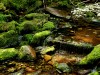 Thumbnail image for Tapping for Improved Focus