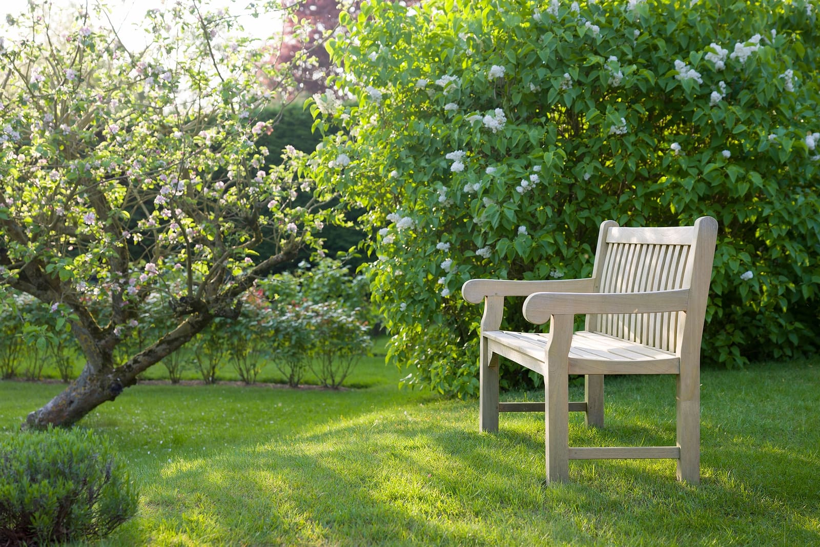Teak garden bench on lawn in a 468171539