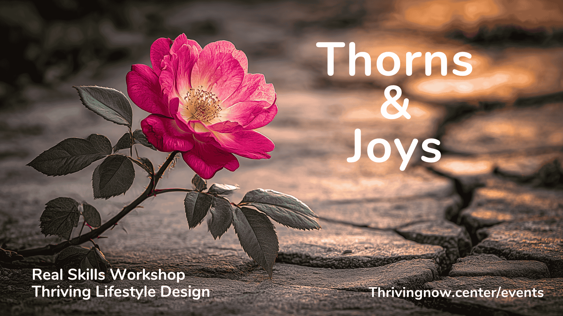 Thorns & Joys